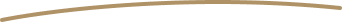 yellow curved line